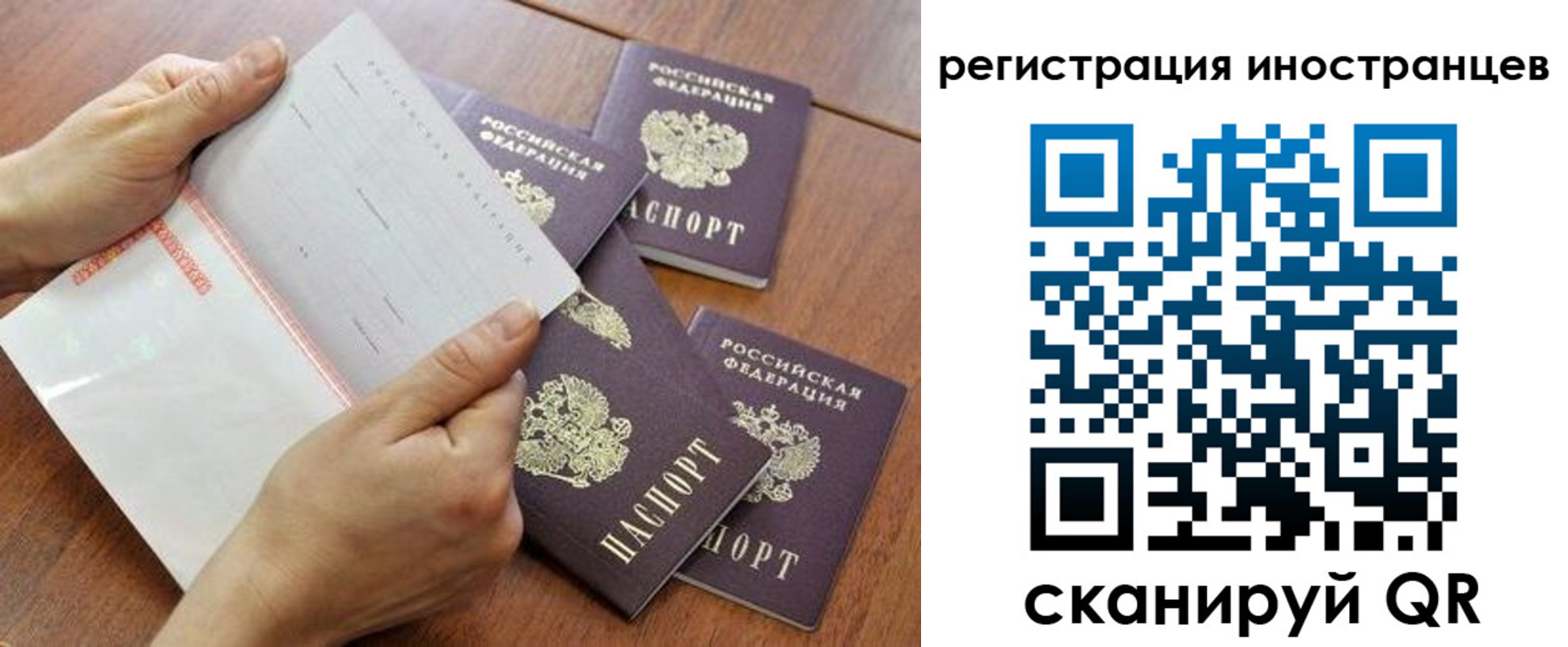 прописка поиск в Родниках